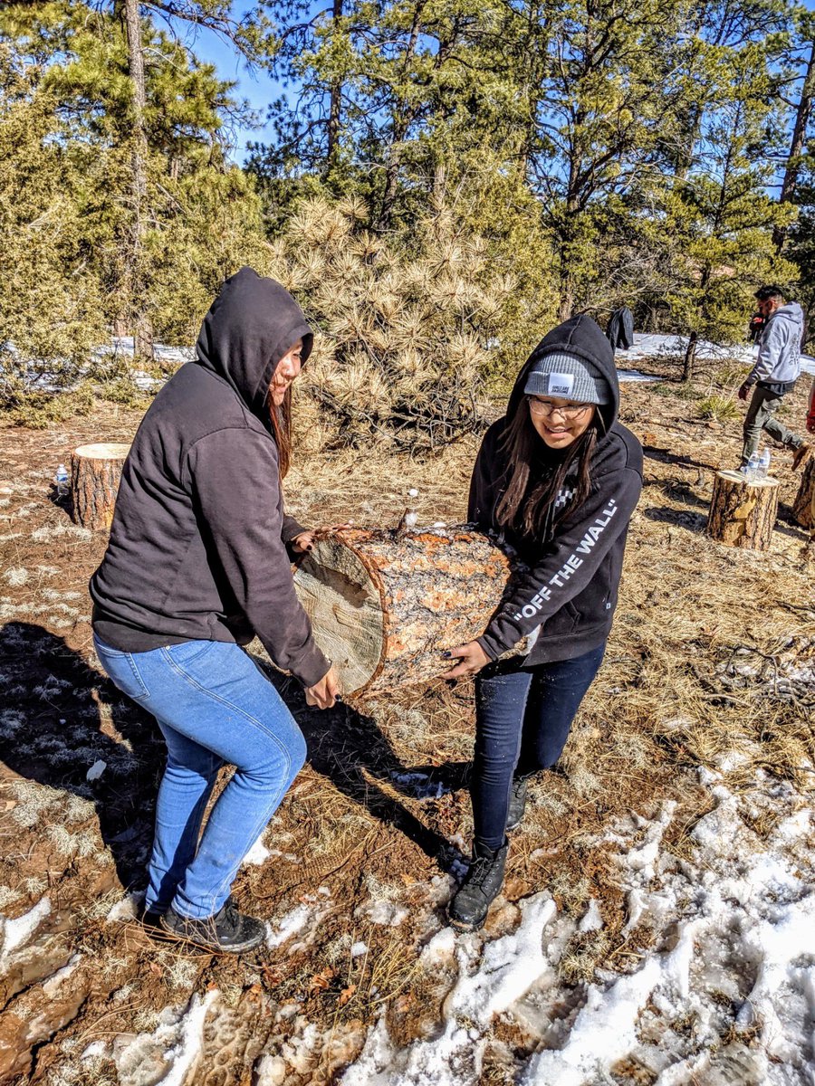 SSE_global's tweet photo. Happy #InternationalWomensDay
⁠⁠
When these women are not in the office or field, they’re out helping elders in their community. SSE has initiated a wood hauling donation project!⁠⁠
⁠⁠
#InternationalWomensDay #donation #girlpower #strongwomen #local #community #NavajoNation https://t.co/jfxo1GJ8Ub