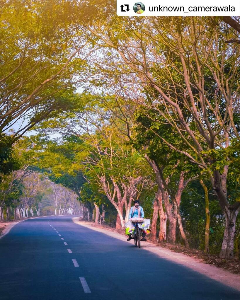 BBSRBuzz's tweet photo. #bhubaneswarbuzz #banki pic courtesy  @unknown_camerawala 
・・・
Back to business !!!!!
.
#naturegeography #natgeo #bbctravel #lifestyleblogger #lifestyle #naturelovers 
#streetstyle #streetsofodisha #bhubaneswarbuzz #pureodisha #odishaclicks #odishatourism #odishaphotographer… https://t.co/U1xOKePNVn