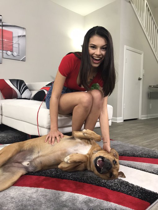 Moose 🐶 is quickly becoming a favorite of the ladies 😏 ⭐️@TheRealReyna420  ⭐️@honeyhayesXXX  🐶Moose https://t<a href="/tag/mvsales"class="tags"><span>#mvsales</span></a>