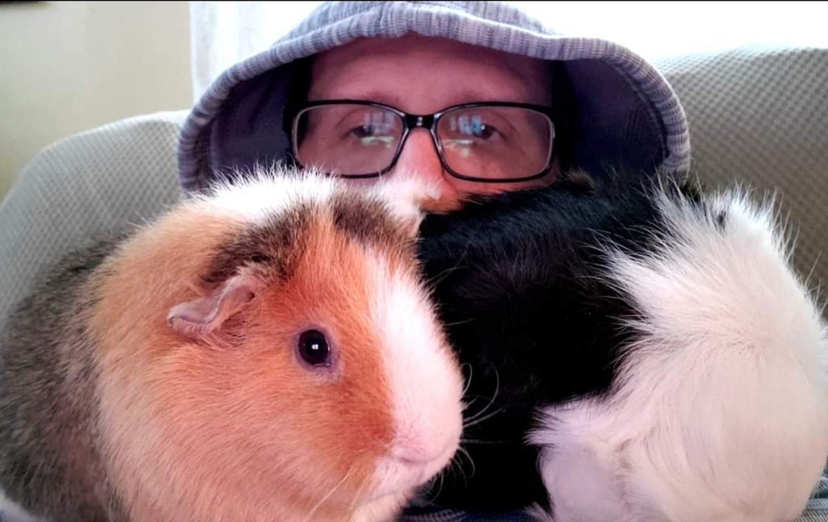 SpinItSocial's tweet photo. Cold...who's cold🤣🤣🤣
#DaisyBeanLife🐹 https://t.co/H5lY95GktJ