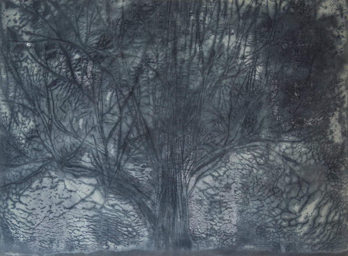 _some_draw's tweet photo. 染め（仕上がり）日記

#handdye #contemporaryart #tree #craft #kogei #textileart #textileartist #糊染め #工芸 #染色 #美術 #fineart #現代美術 #japaneseart #日本美術 #dyework #modernart #abstracart #abstrac #contemporarytextiles #drawing #sketch #handdyedthreads #MikaIwai #岩井美佳 https://t.co/q43PTcn8RM