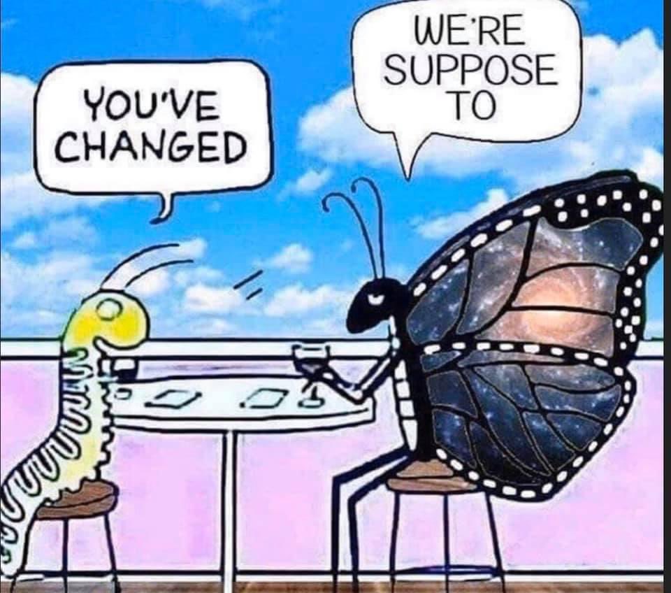 CelestialRx's tweet photo. When you evolve everyone projecting their lack of progress on you. Being better than them. My Lamborghini SUV is a mom mini super van it’s not like I spent my life savings. They say a liability shouldn’t be more than 10% than your income. Keep judging https://t.co/w45PBaEW2S