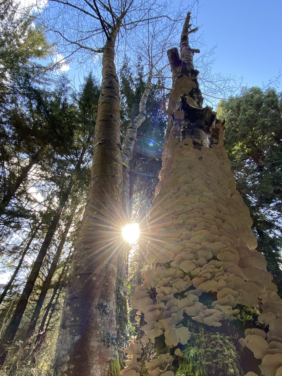 It’s #NationalWomensDay can we please stop calling women Bitches &amp; Ho’s in music for entertainment? #RespectWomen