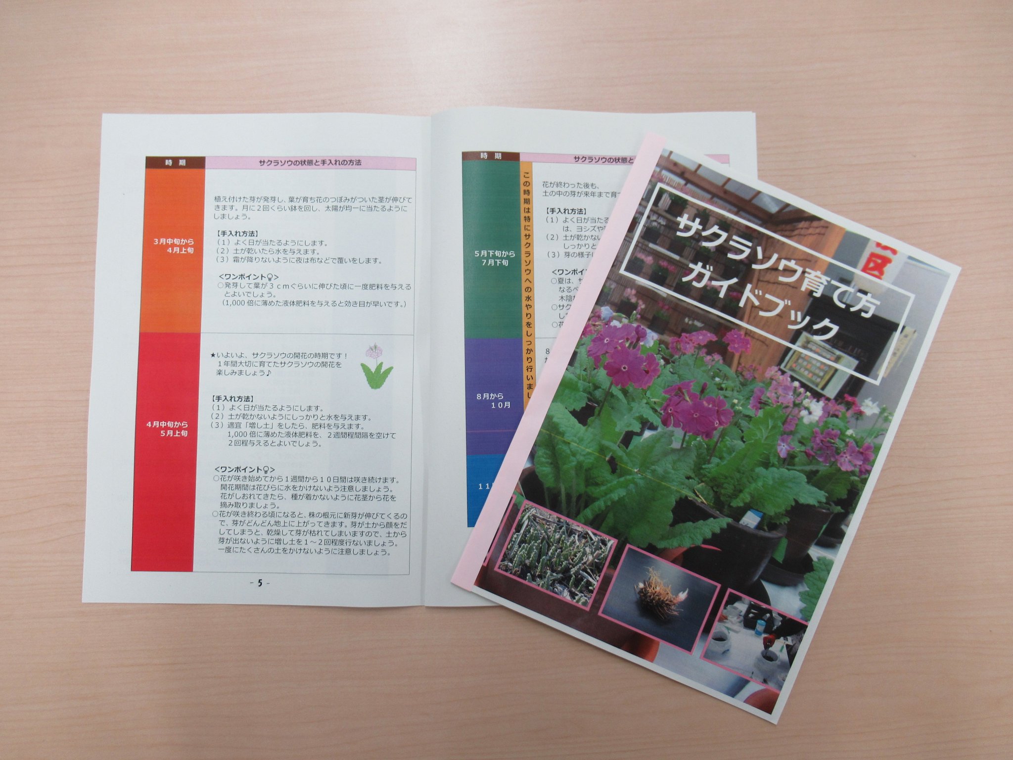 さいたま市桜区役所 على تويتر サクラソウ育て方ガイドブック をご活用ください 桜区の花サクラソウ に親しんでいただくために 育て方のポイントをまとめた サクラソウ育て方ガイドブック を作成しました ぜひ このガイドブックをご活用いただき さいたま市桜区役所 على تويتر サクラソウ育て方ガイドブック をご活用ください 桜区の花サクラソウ に親しんでいただくために 育て方のポイントをまとめた サクラソウ育て方ガイドブック を作成しました ぜひ このガイドブックをご活用いただき