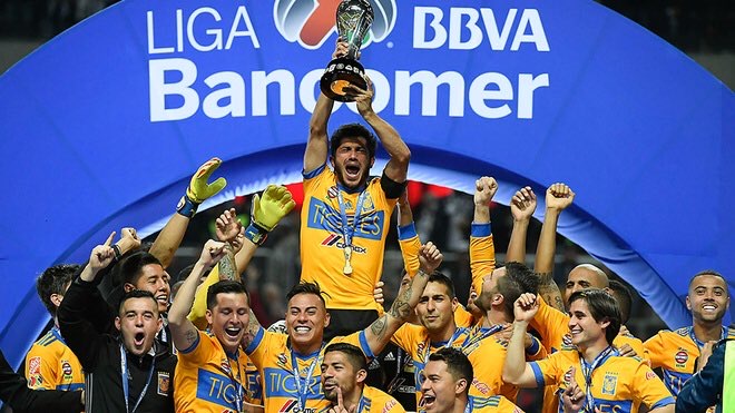 MXSudamerica's tweet photo. Un día después del Aniversario de Tigres recordamos 

¡La #HistoriaFutbolera del Torneo Apertura 2017, donde @TigresOficial logró el título, venciendo en la final a su máximo rival, @Rayados!

Así comienza este hilo de una gran historia, llena de emotividad. https://t.co/k4tOOGDRCO