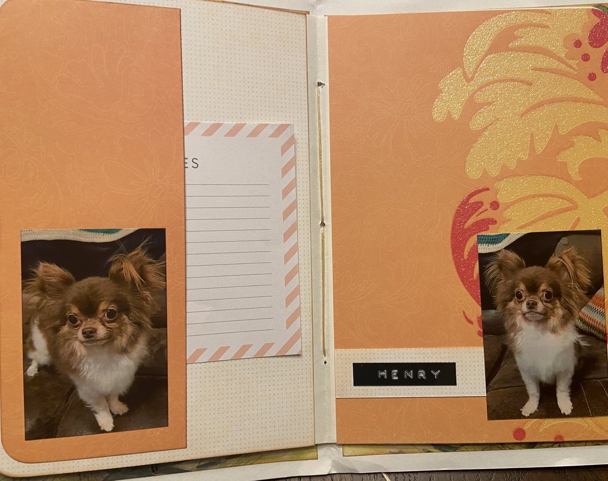 David_Frederick's tweet photo. FREAKIN @SkeeverA β€οΈπβ€οΈπβ€οΈπβ€οΈπ #thumpthumpthump #packpackpack #foundfamily #bestpeople #dog #henry #inca #favoritepeople #dogparentlife #thankyousomuch #loveyou #yeehaw #aaaaaaaaaaaannnnnnndposted https://t.co/0ct6SMLekK
