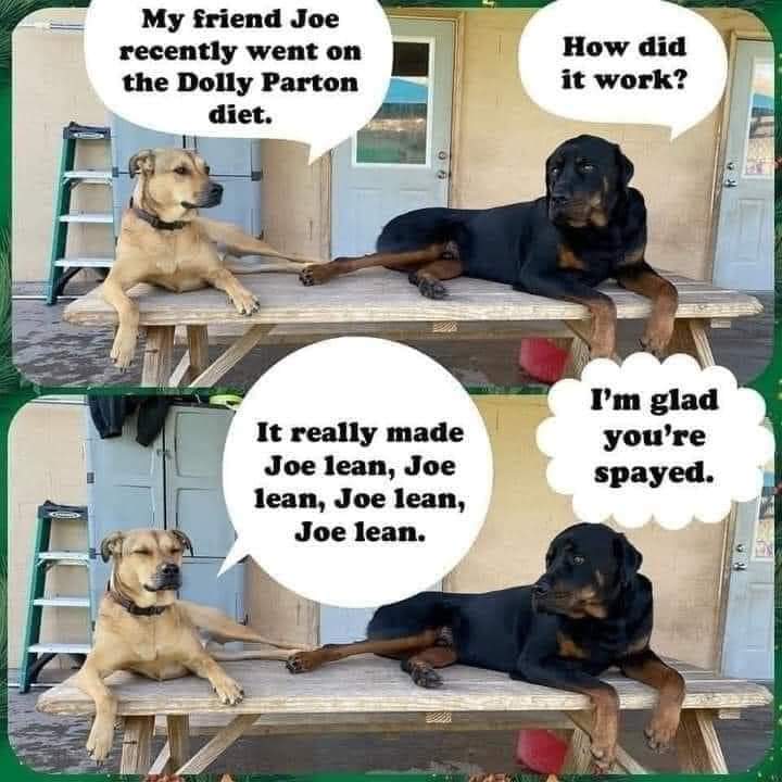 Aaron Biedma (@adamanteus8) on Twitter photo 