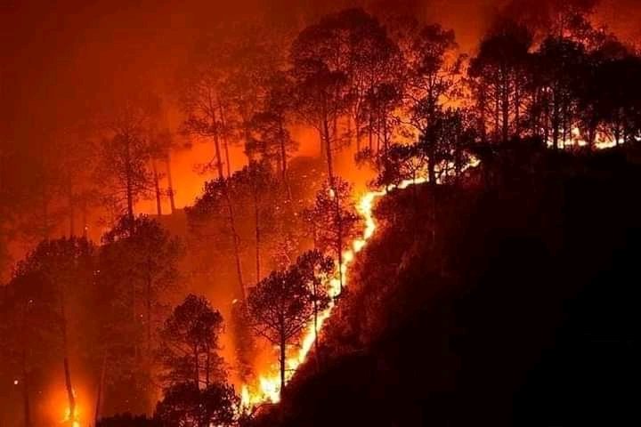 Deep_ikaa_'s tweet photo. #SaveAjodhyaHills
#SavechotnagpurPlateau
#StopForestFire
#PrayForAjodhya https://t.co/krbp9g3XeG