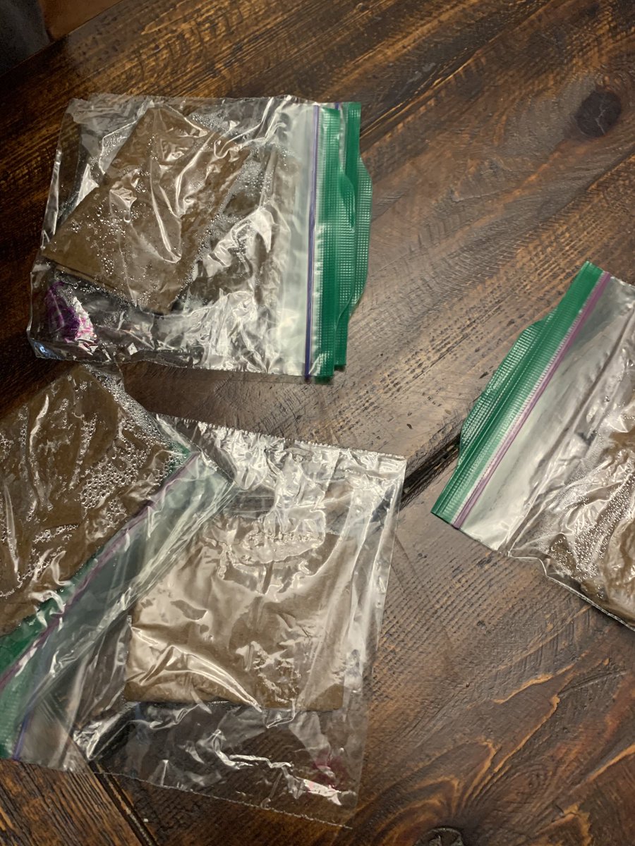 canntrader's tweet photo. Germination testing went well. All the #beans popped. #larrycake #weddingcake #lilacdiesel #chemd #hotrod #purplejellato #purplefrost all are x #dosianimalcookies. The purple frost is 🛸🚀❤️ #internationalwomensday #womenmakegoodgrowers https://t.co/oDZmRMrLk4