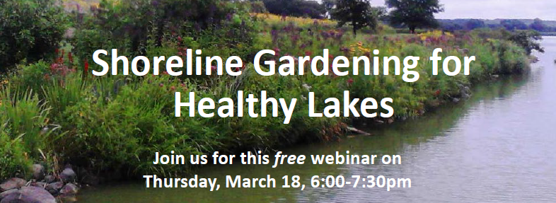 UWMadisonExt's tweet photo. Want to know more about shoreline gardening for healthy lakes? Join us 3/18 for a new webinar https://t.co/oq06Zm6wsj https://t.co/6pajD96NU6