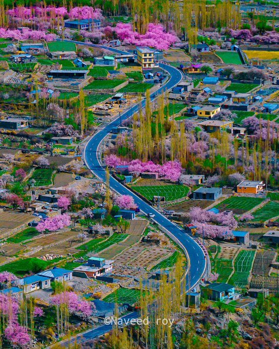 muhukhrb's tweet photo. The Most Beautiful Country in the World.
The #BeautifulPakistan. #VisitPakistan 
#ProgressingPakistan 

One Location, Different Seasons.

Pakistan                                    Pakistan https://t.co/qfQbXgcGe7