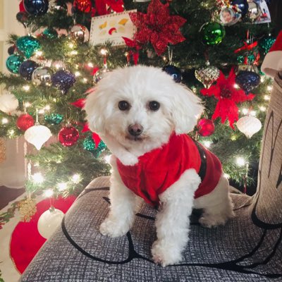 joan_bellosillo's tweet photo. #NewProfilePic https://t.co/ufORCcVUzT