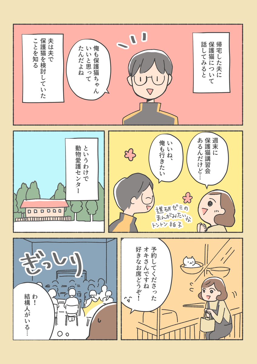 保護猫ちゃんをお家に迎えるまでの話
(3/12) 