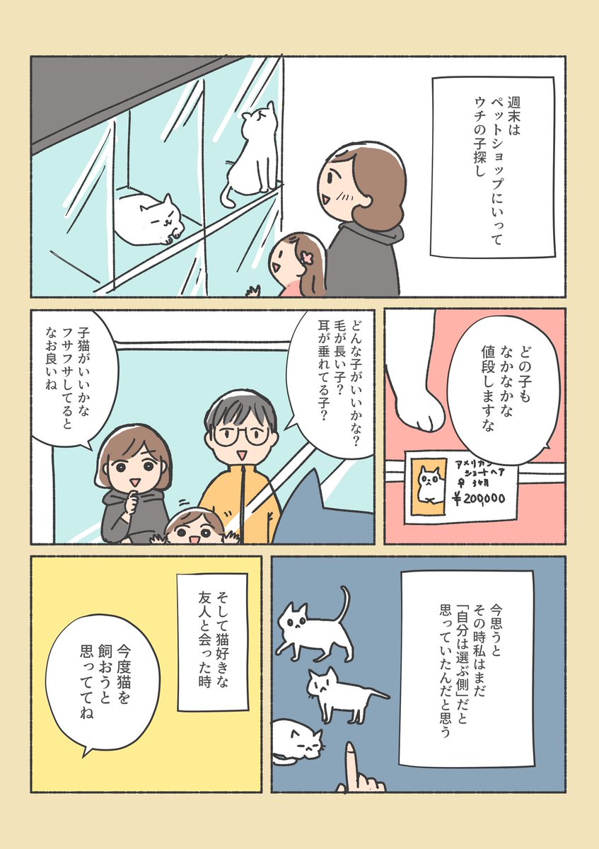 保護猫ちゃんをお家に迎えるまでの話
(1/12) 