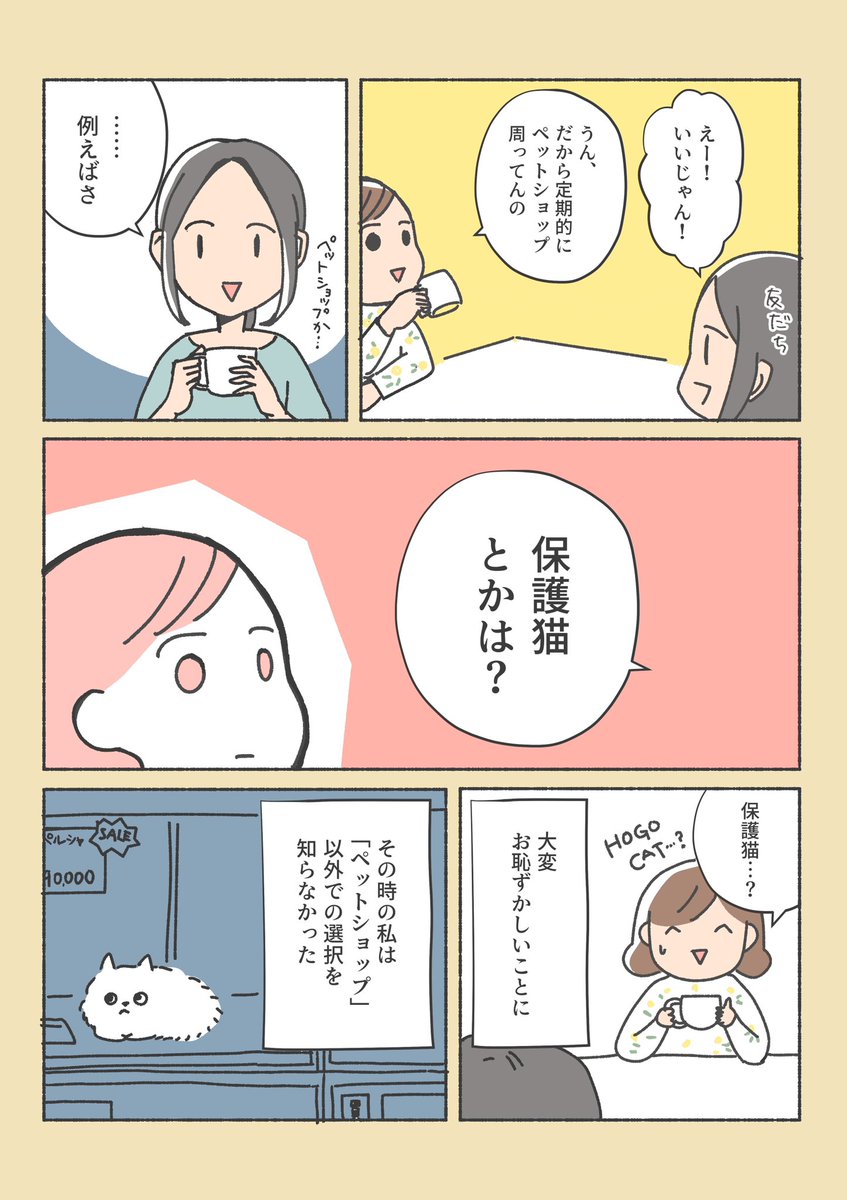 保護猫ちゃんをお家に迎えるまでの話
(1/12) 