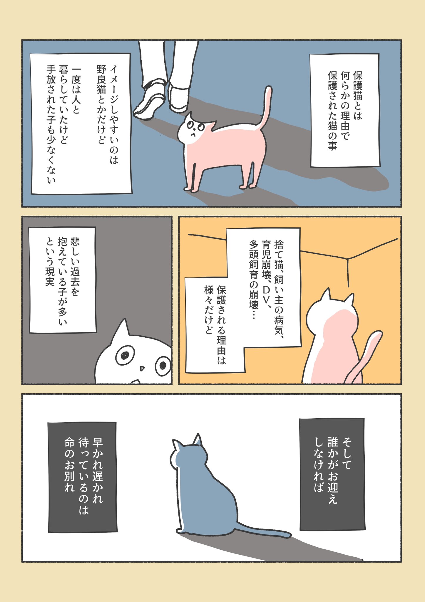 オキエイコ 双子育児産休中 保護猫ちゃんをお家に迎えるまでの話 1 12 T Co Typ6pyz5ne Twitter