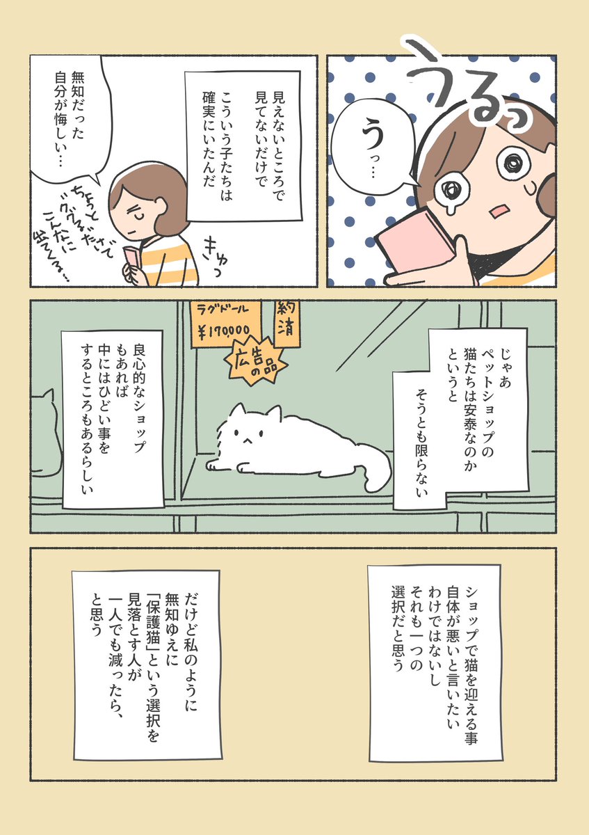 保護猫ちゃんをお家に迎えるまでの話
(2/12) 