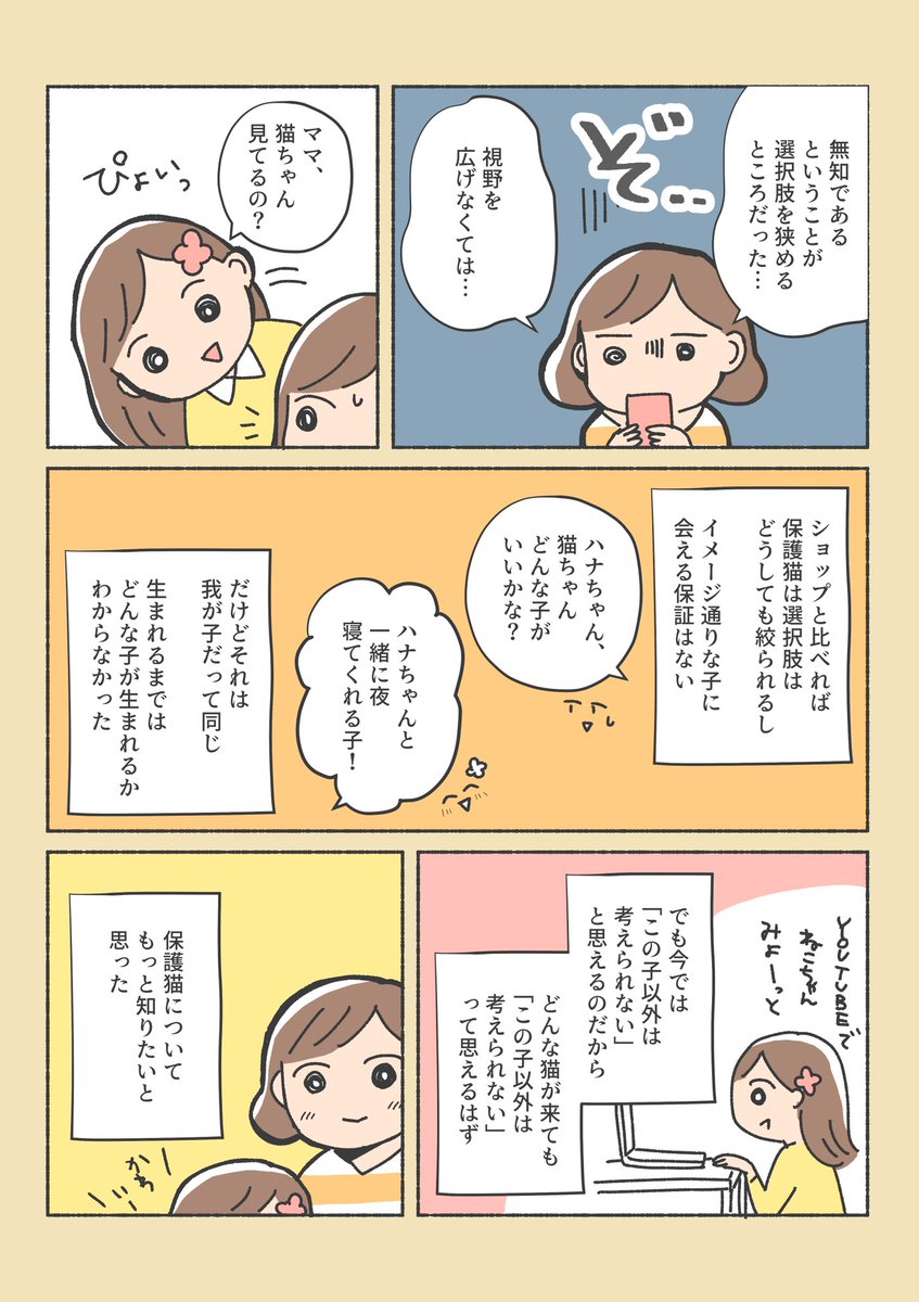 保護猫ちゃんをお家に迎えるまでの話
(2/12) 