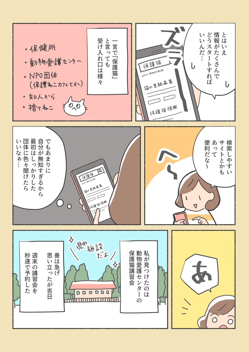 保護猫ちゃんをお家に迎えるまでの話
(2/12) 