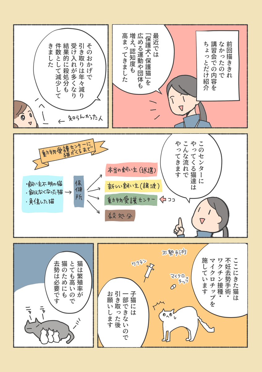 保護猫ちゃんをお家に迎えるまでの話
(4/12) 