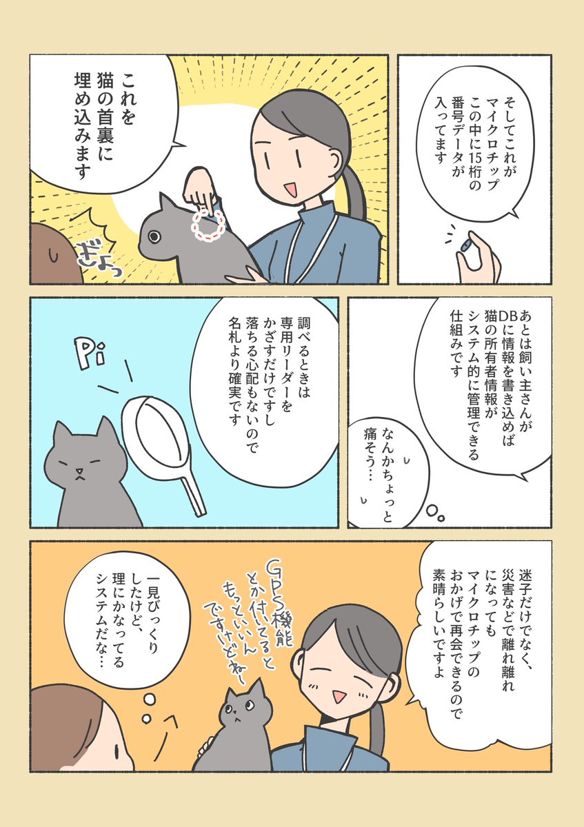 保護猫ちゃんをお家に迎えるまでの話
(4/12) 