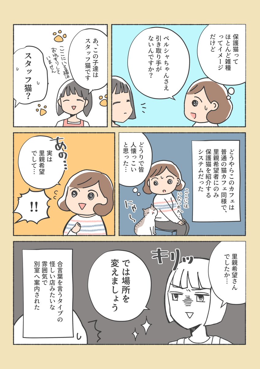 保護猫ちゃんをお家に迎えるまでの話
(5/12) 