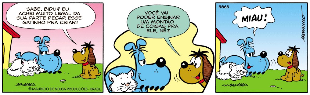 Você sabe sobre Mauricio?