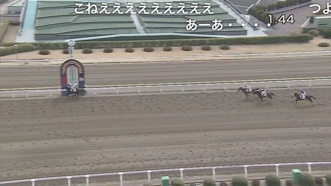 競馬 サバノミッソーニ という名前の競走馬が話題に 名前の由来が鯖のみそ煮 いいのかこんな名前で まとめダネ 競馬 サバノミッソーニ という名前の競走馬が話題に 名前の由来が鯖のみそ煮 いいのかこんな名前で まとめダネ