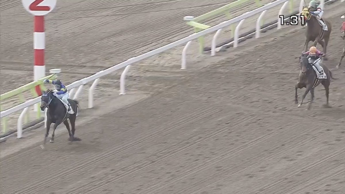 大井3rでサバノミッソーニが初勝利を挙げたことで話題になるお馬さんのオモシロお名前シリーズ Togetter 大井3rでサバノミッソーニが初勝利を挙げたことで話題になるお馬さんのオモシロお名前シリーズ Togetter