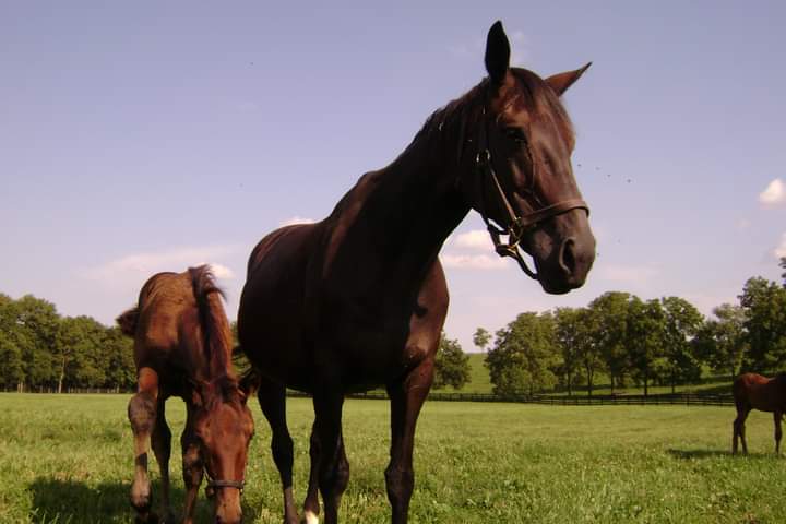 HORSERACING1002's tweet image. VISUAL CANDY 2004
(WOODMAN -DOUBLE DEE'S BY DOUBLE NEGATIVE) #VisualCandy