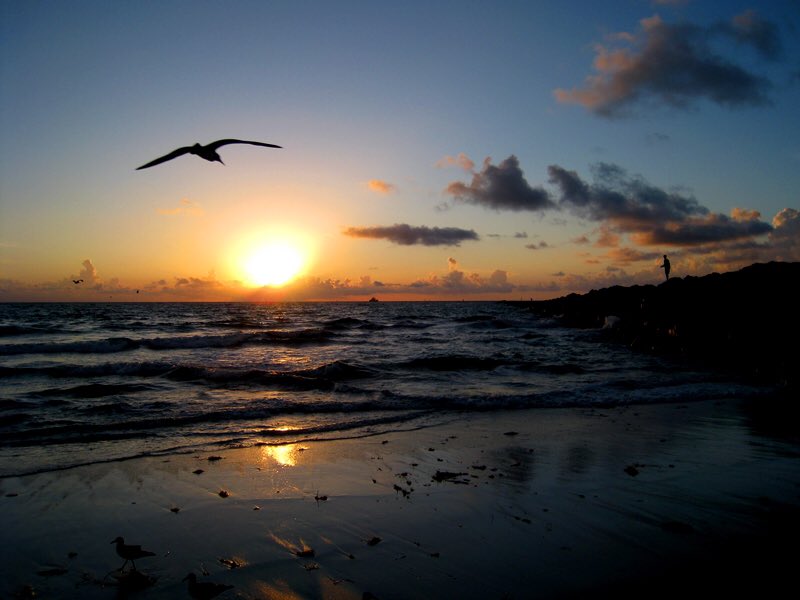 "ونسألُك البِشارات التي نُحب، و الأيام التي تسُر، و الرحمَات التي تتوالَى، و العَافية التي تدُوم، و الخيرَ الذي لا ينقطِع" 💙
            
                 صباح الخير