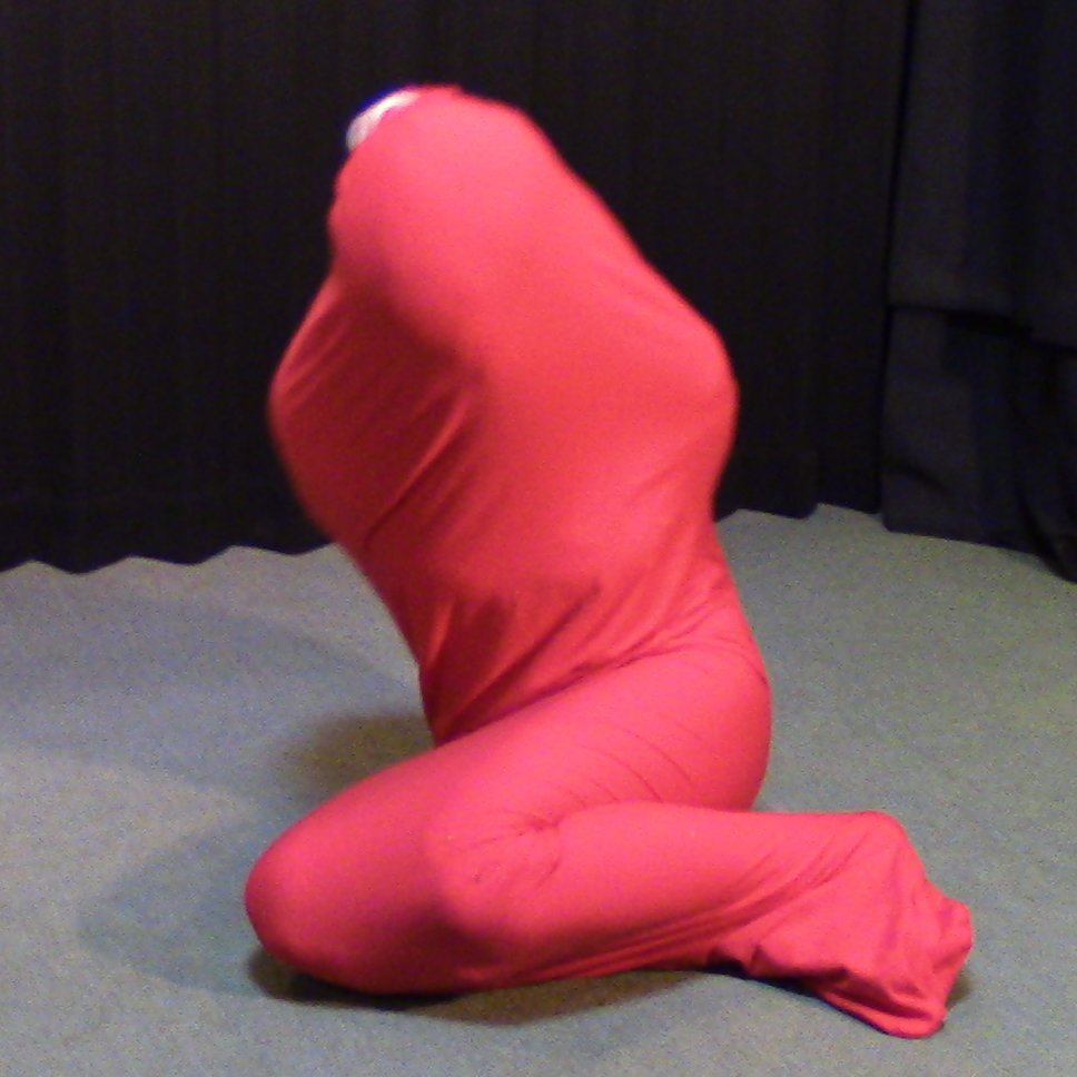 毎年懲りずに3月9日は3と9でsackと言うことで #袋の日 としてこっそり活動。
昔の画像見返していたらけっこう時間たってた(;ﾟロﾟ)
袋詰め流行って！

#袋詰め  #bagged  #sacked