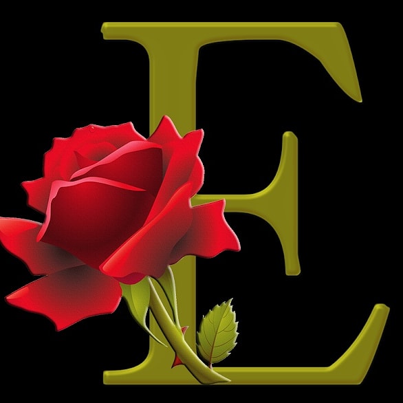 Muhammad Irfan A Twitter Beautiful Names E Eurovision Simple Name Love Dp Art Status Foryou Trend Fypシ Flowers Rose Pk In Dubai T Co 6jtnn58r0x Twitter Muhammad Irfan A Twitter Beautiful Names E Eurovision Simple Name Love Dp Art Status Foryou Trend Fypシ Flowers Rose Pk In Dubai T Co 6jtnn58r0x Twitter