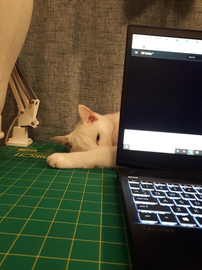 Maxine Mueller tweet media