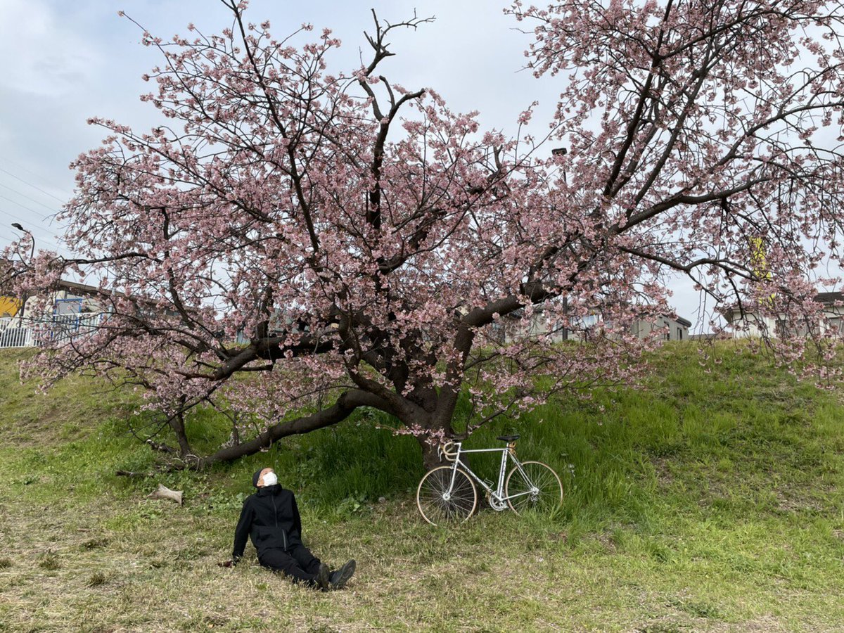「春の陽気! 」|東京幻想のイラスト