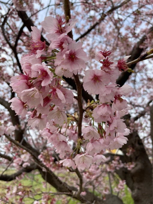 春の陽気! 