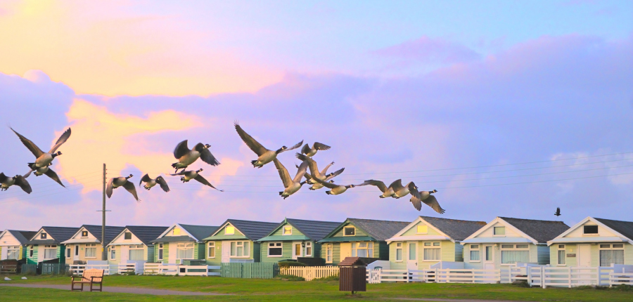 @JourneyHeroApp We're very lucky to be right next to #DunsterBeach in Somerset, but we also have a wonderful nature reserve we look over too. Not strictly a waterway for us, but try telling that to the Canada Geese when the land in formation! #TravelWineParty #DunsterBeachHut