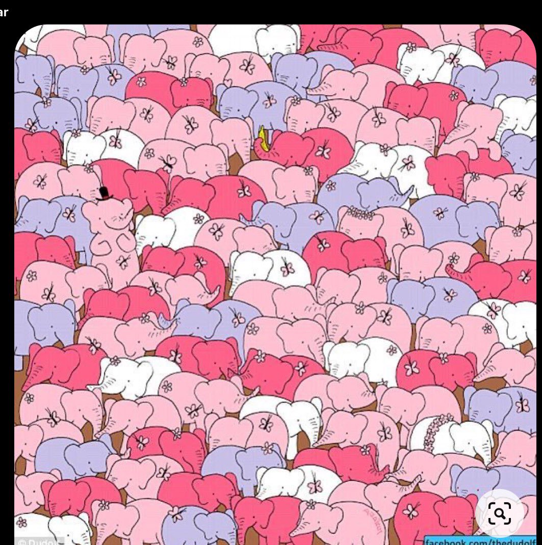 GeneralBazz's tweet image. Can you find the little heart?

Mum did almost instantly  (pfffft-so she says🤬)