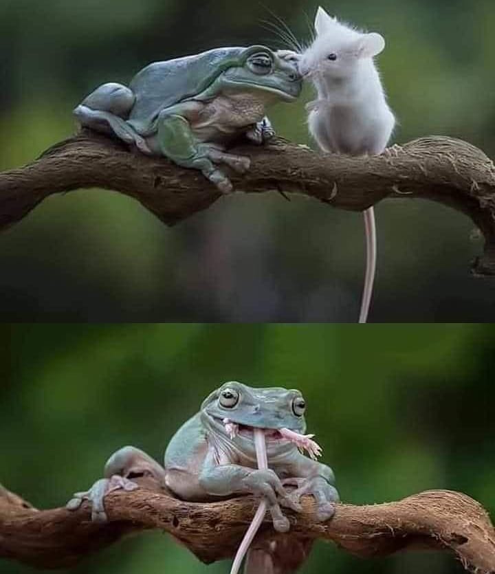 kata2bijak's tweet photo. Intinya kita Tetap berhati hati
Contoh seperti gambar ini banyak didunia nyata https://t.co/HbY5bfr6nx