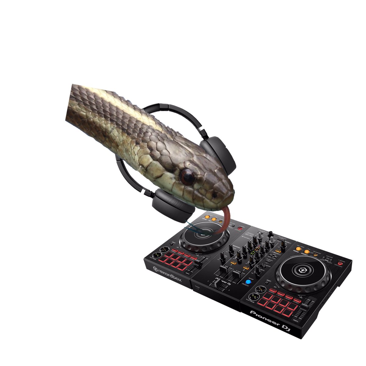 anulart's tweet photo. dj snake                     pareil https://t.co/ZX2JeoQ07q