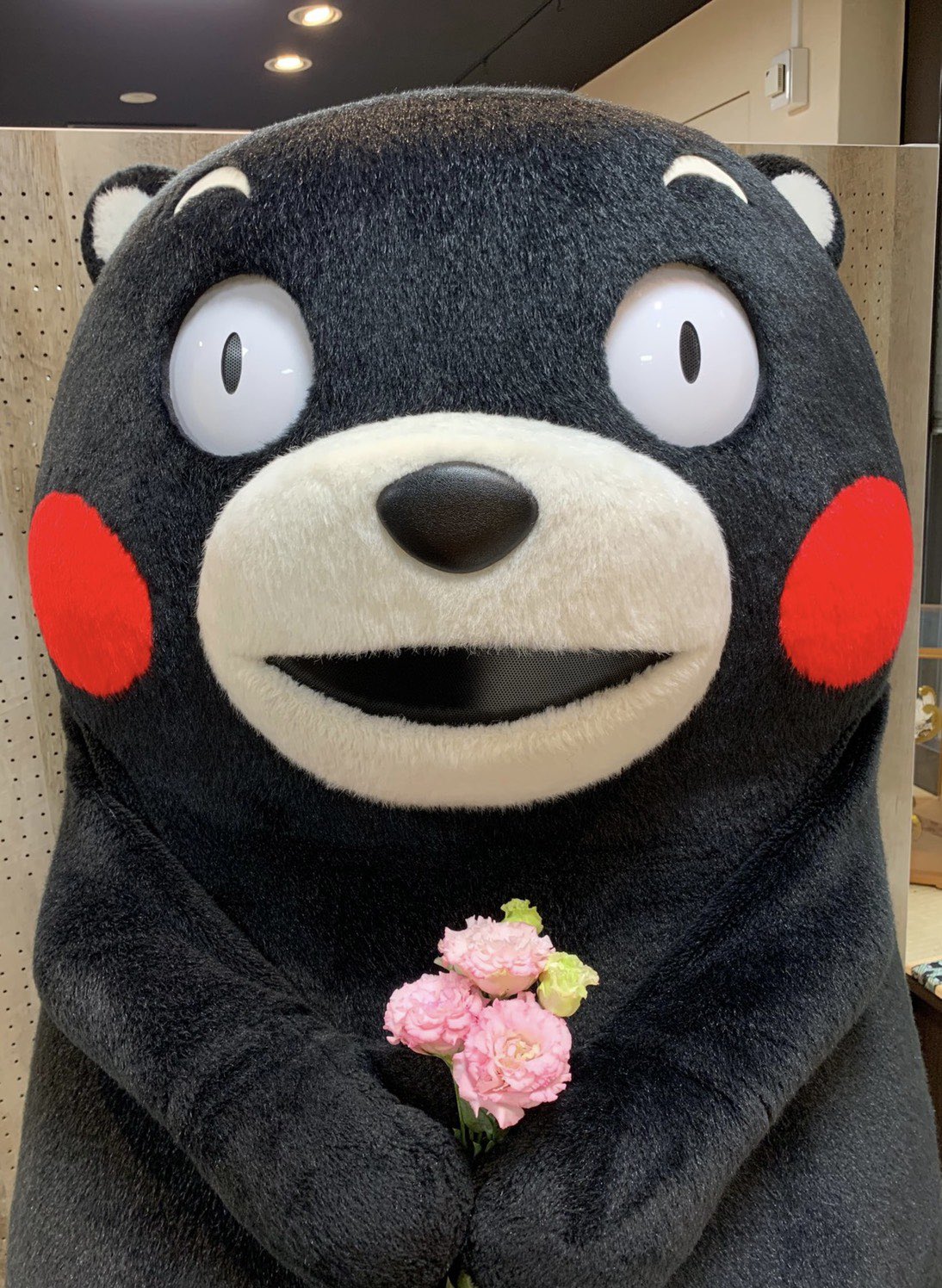 くまモン東京スタッフ 公式 今日の一枚 トルコギキョウ 3月9日はサン 3 くま 9 感謝の日 ありがとう は心温まる魔法の言葉 この機会に感謝を伝えてみてはいかがでしょうか 日頃 頑張っている皆様へ サンくま そして熊本県やくまモンを くまモン東京スタッフ 公式 今日の一枚 トルコギキョウ 3月9日はサン 3 くま 9 感謝の日 ありがとう は心温まる魔法の言葉 この機会に感謝を伝えてみてはいかがでしょうか 日頃 頑張っている皆様へ サンくま そして熊本県やくまモンを