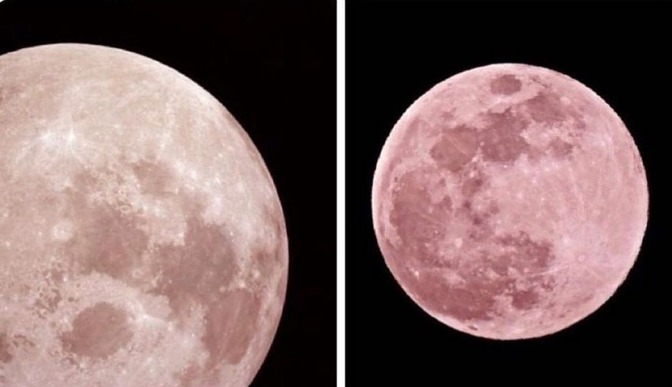 Missguided's tweet photo. FYI there's gonna be a pink moon on the 22nd April 👀 https://t.co/pErFLVp4eG