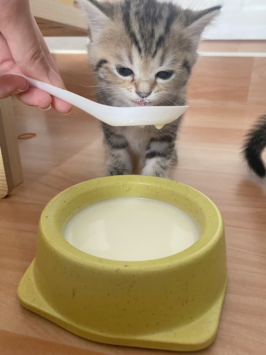 กินเองมังไม่คูล ต้องให้อุนยายป้อน