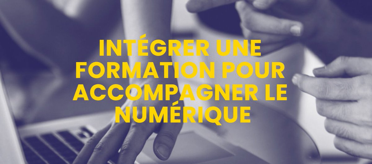 Hinaura tweet media
