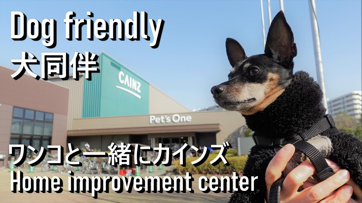 Uzivatel Forest In Heavenly Sky Na Twitteru 天チャンネル 本日の動画は 日本語字幕 カインズ ホームセンター Today S Video Is English Subtitles Cainz Home Improvement Center T Co Pr5ooes4vn 見てね Check It Out Minpin ミニピン 小鹿犬
