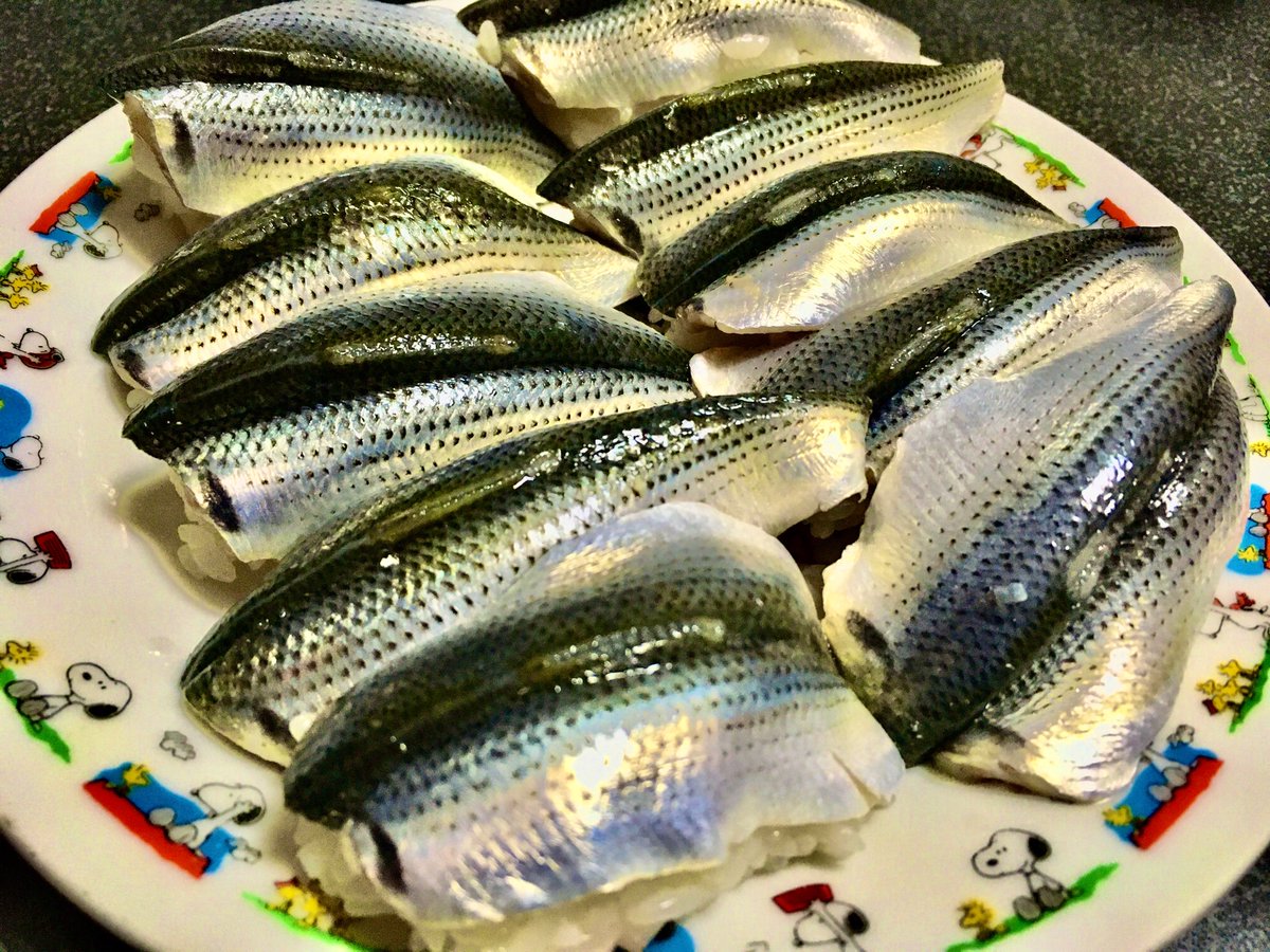 Stdrums ユージ レルレ カワグチ 昨夜は来客あり 早朝の自家製コハダ寿司 光モノの仕込みは楽しい