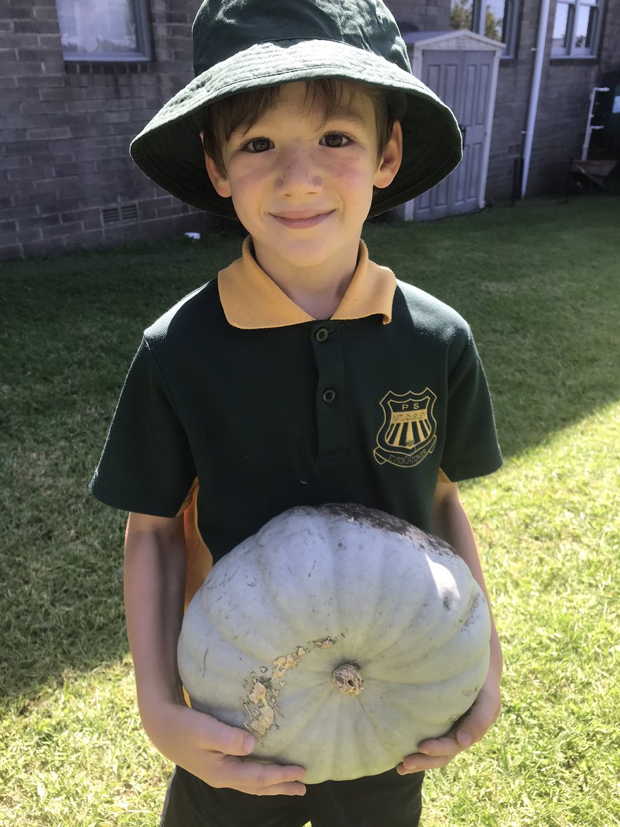 2/3 Connect tweet media