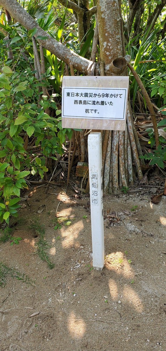東日本大震災 沖縄 西表島にはなんと気仙沼から流れ着いた杭があるらしい その旅路の長さにいろいろ考えさせられる Togetter 東日本大震災 沖縄 西表島にはなんと気仙沼から流れ着いた杭があるらしい その旅路の長さにいろいろ考えさせられる Togetter