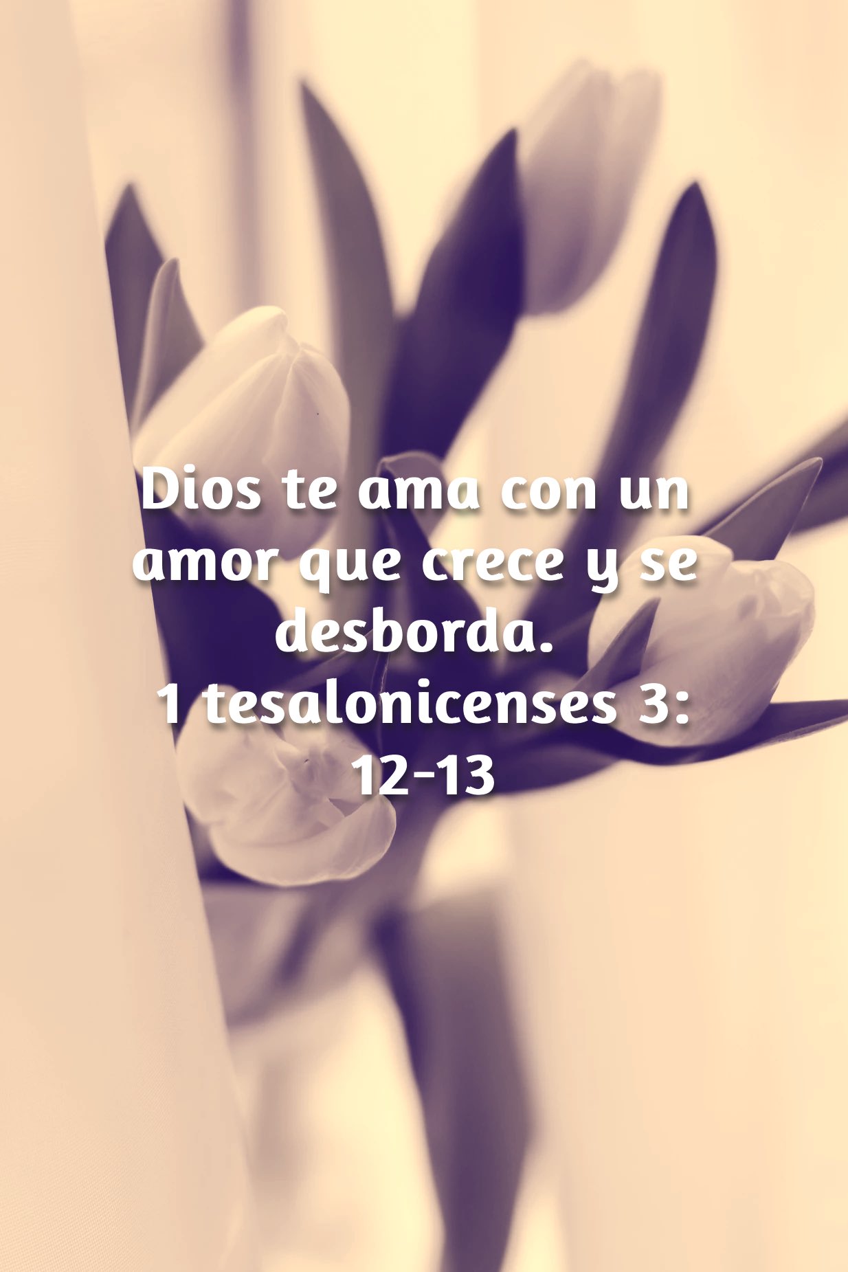 Dios Te Ama Verso Verso Del Día. | "Minutos De Fe"