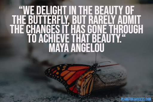 HHMU_Banksia's tweet photo. It's entirely #mutual.... she's one of your #SpiritGuides!
#BlessedIndeed
#XXX17Q
#Watch4Signs!
#Namaste https://t.co/4aqO4FYOI7